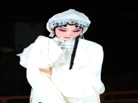 評劇是哪個省的地方劇種(評劇是哪個省的地方劇種呢)