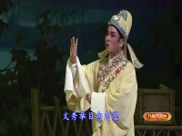 越劇何文秀全集(越劇何文秀全集劇本)