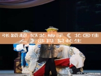 河北梆子北國佳人(河北梆子北國佳人選段幽靈訟)
