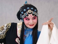 河南豫劇陳派的弟子名單(河南豫劇陳派的弟子名單大全)