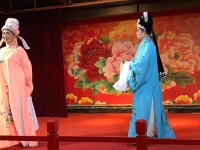 黃梅戲屬于什么戲曲(黃梅戲屬于什么戲曲種類)