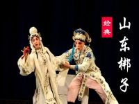 山東梆子雷振海征北全場(豫劇雷振海征北刀劈三關(guān)威名大)