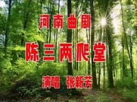 河南曲劇陳三兩(河南曲劇陳三兩爬堂全場張新芳主演)