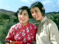黃梅戲苦菜花(黃梅戲苦菜花完整版)