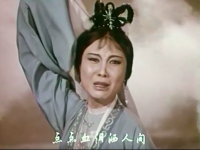 嚴鳳英黃梅戲(嚴鳳英黃梅戲小辭店全集播放)