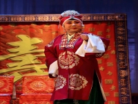 南陽曲劇名家都是誰(南陽曲劇團演唱的曲劇)