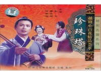 電視劇珍珠塔越劇全集(電影越劇珍珠塔外景全劇)