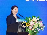 楊淑霞豫劇演員(楊淑霞豫劇演員少國公)