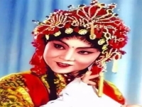秦香蓮后傳曲劇張新芳(秦香蓮后傳曲劇張新芳唱)