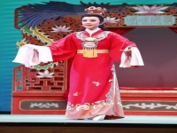 越劇趙心瑜方亞芬(越劇唱段100首方亞芬)