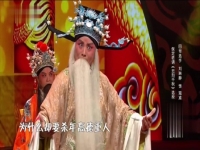 秦腔潘楊訟全本(秦腔潘楊訟全本在線看)