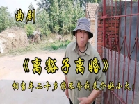 李豁子離婚曲劇(李豁子離婚曲劇全集)
