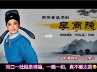 潮劇選段林燕云唱段(潮劇選段林燕云唱段大全)