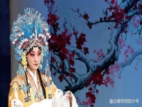 京劇的派別有幾種(京劇分為哪幾派各是什么意思)