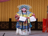 北京京劇龍鳳呈祥(京劇龍鳳呈祥全劇臺詞)