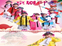 豫劇戲服介紹(豫劇戲曲服裝介紹)