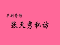 無為廬劇周小五全集視頻(無為地方戲廬劇大全周小五)