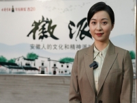 黃梅戲袁媛生活照(黃梅戲袁媛生活照片)
