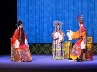 上黨梆子狀元媒(上黨梆子狀元媒王芳芳專場)
