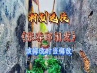 潮劇張春郎削發(fā)最老版(潮劇張春郎削發(fā)全劇老版)