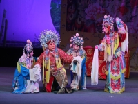 打金枝河北梆子全劇(帶字幕的河北梆子打金枝全劇視頻)