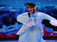 河北梆子鐘馗嫁妹(京劇鐘馗嫁妹裴艷玲)