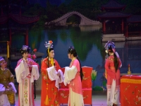 南京越劇團近期演出(南京越劇團近期演出表)