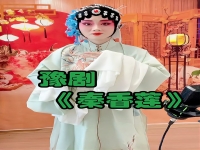 豫劇秦香蓮全場視頻(豫劇秦香蓮全場視頻完整版)