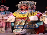 吹月網戲曲大全1000部(吹月網戲曲大全1000部墜子)