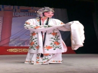 河南豫劇院青年團現(xiàn)狀(河南豫劇院青年團演出視頻)