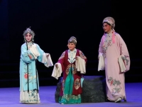 康亞嬋二進(jìn)宮秦腔全本(康亞嬋二進(jìn)宮秦腔演員李)