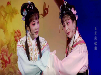 夏夢王老虎搶親越劇全集(電影越劇王老虎搶親夏夢主演主要內容)