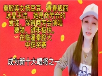 秦腔下河東商芳會(秦腔下河東商芳會河東城)