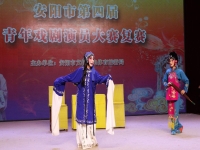 河南省青年豫劇院有限公司(河南省青年豫劇團在哪里演出)