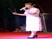 唱河南墜子的都有誰(唱河南墜子質量是多少)