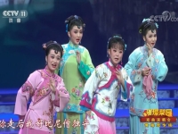 黃梅戲小辭店送別(黃梅戲小辭店送別韓再芬)