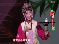 黃梅戲送香茶全集劇本劉國平的簡單介紹