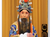 京劇金水橋唱詞(京劇金水橋劇情介紹)
