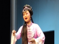 王洪玲河北梆子大全(我想聽王洪玲演唱的河北梆子選段)