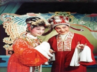 越劇好紫鵑王文娟唱詞(越劇好紫鵑王文娟唱詞大全)