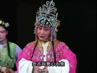 南陽(yáng)金紅曲劇全場(chǎng)戲(南陽(yáng)曲劇紅臉王全場(chǎng)戲)
