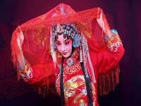 秦腔折子戲大全(秦腔折子戲大全 百度網盤)