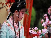 越劇演員傅江風簡介(越劇演員傅江風簡介照片)
