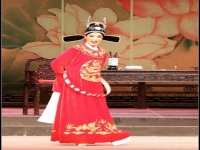黃梅戲女駙馬最后結局(黃梅戲女駙馬扮演者是誰)