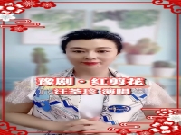 豫劇汪荃珍唱腔集錦(豫劇汪荃珍經(jīng)典唱腔精選)