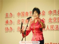 河南墜子都有哪些(河南墜子都有哪些墜書)