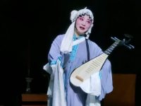 淮劇戴建民演唱的經(jīng)典的淮劇(淮劇戴建民演唱的經(jīng)典的淮劇寶玉哭靈)