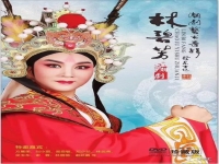劉小麗潮劇專輯2(劉小麗潮劇唱段大全)