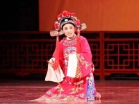 黃梅戲女駙馬吳瓊(黃梅戲女駙馬吳瓊全集播放免費)