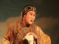 墜子是哪里的地方戲的簡單介紹